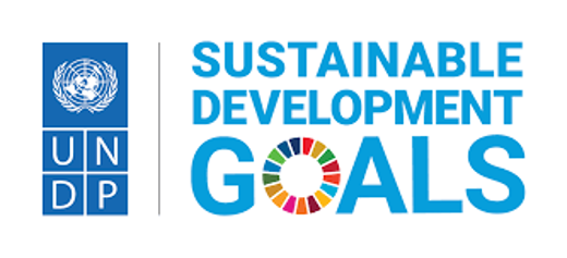 UN SDG Logo