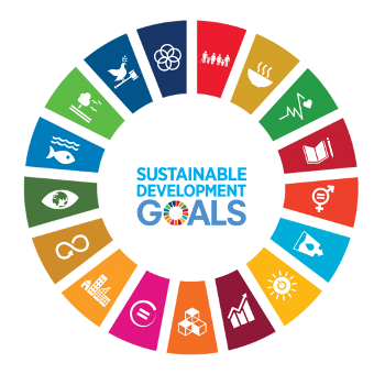SDG Color Wheel